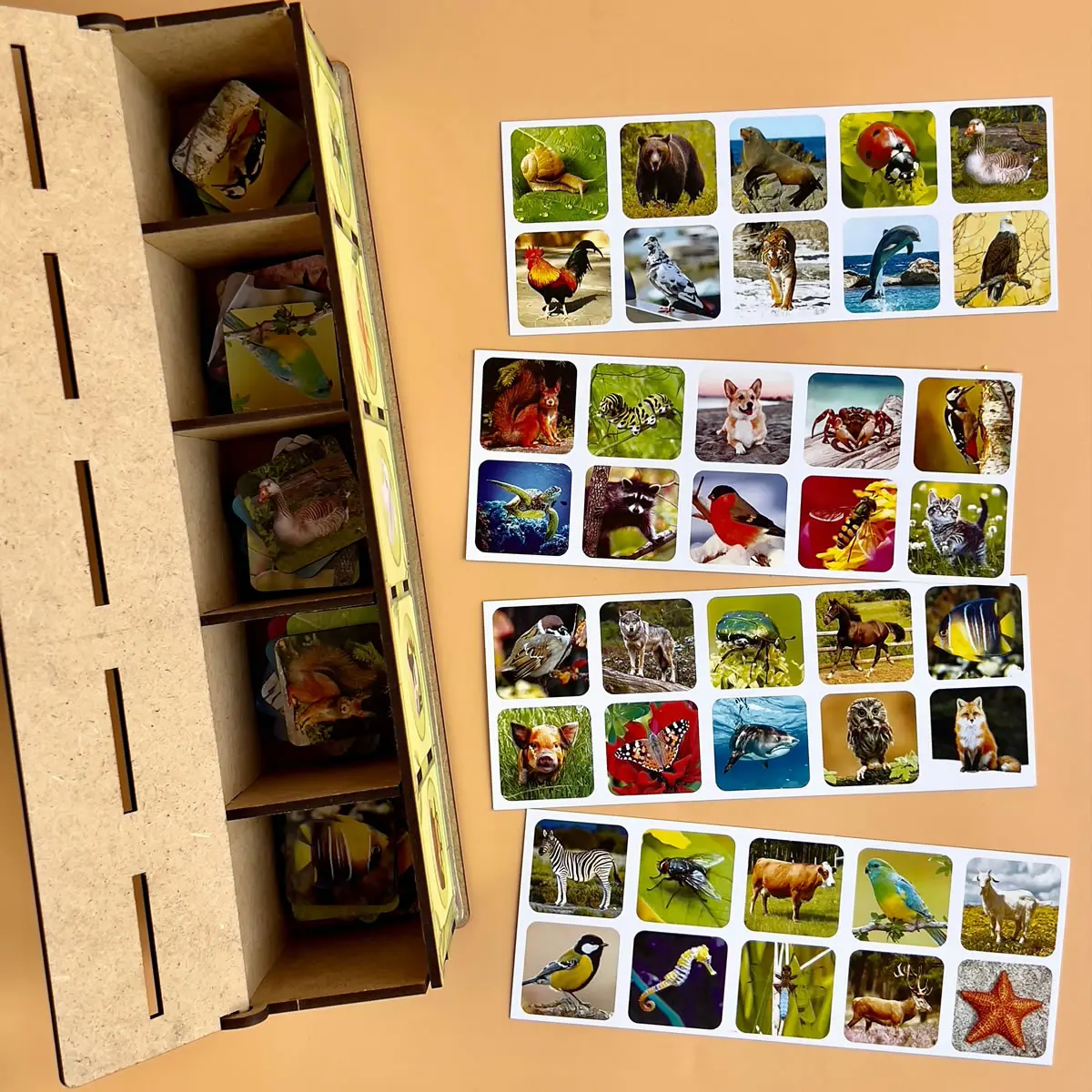 Дерев'яний сортер - комодик "Види тварин" Розвиваюча гра для дітей від 3 років